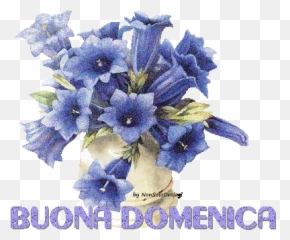 Gif Animate E Grafica - Immaginigratis Gif Animate Buona Domenica Emoji,Immagini Emoticons Gratis