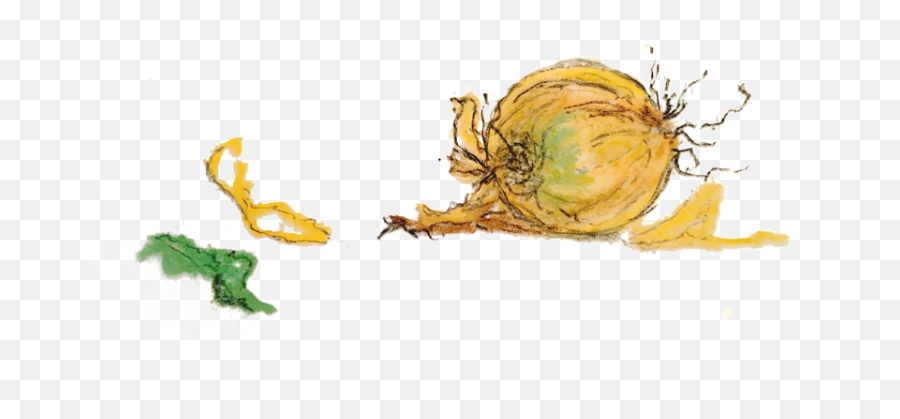 An Onion A Day - Sketch Emoji,Onions Emotions