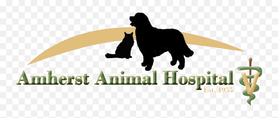 Amherst Animal Hospital - Veterinarian In Amherst Oh Us Language Emoji,What Is An Emotion Support Animal