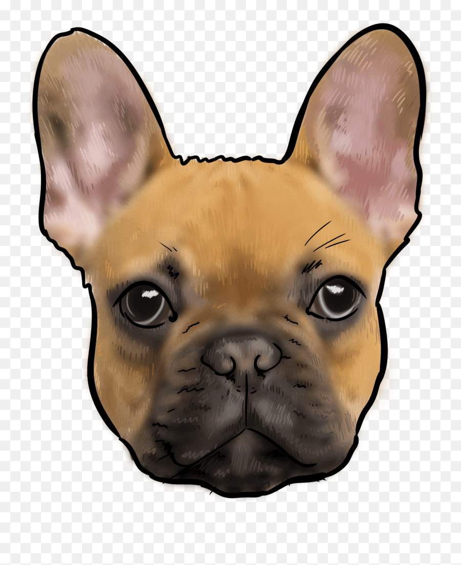 Silly Right Why - French Bulldog Face Emoji,Why My Scottish Terrier Doesn't Show Any Emotions
