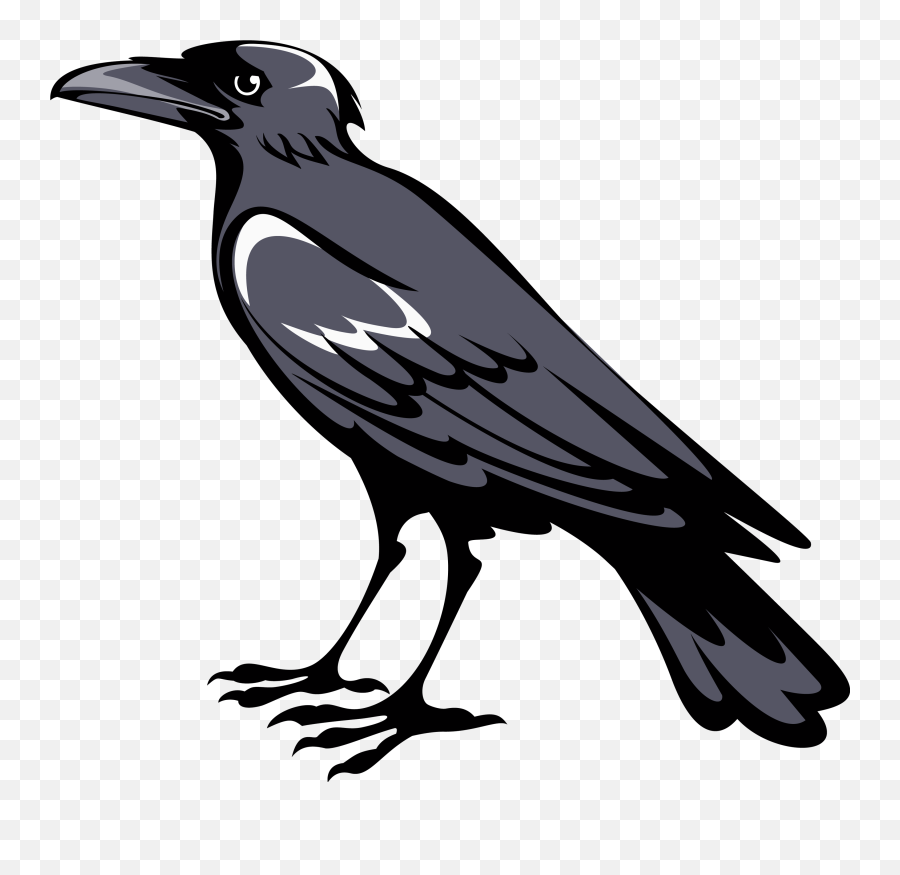Crow Clipart Black Australian Crow - Heraldry Symbols Crow Emoji,Crow Emoji
