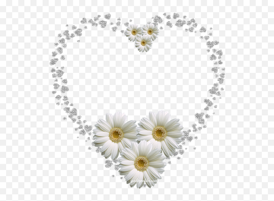690 White Hearts Ideas White Heart I Love Heart Pure - Daisy Heart Frame Pngler Emoji,Chamomiles Feel Emotions
