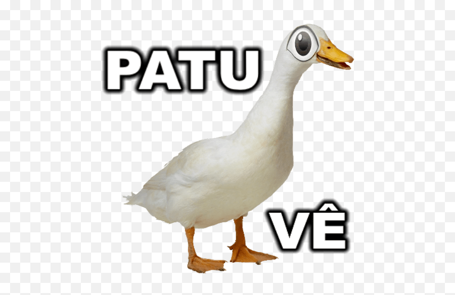 Saudação Em 2021 - Duck And A Chicken Emoji,Seahawks Emoticons