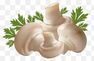 Mushrooms Clipart Mushroom Vegetable - Mushrooms Clipart Png Emoji,Mushrooms Emoji