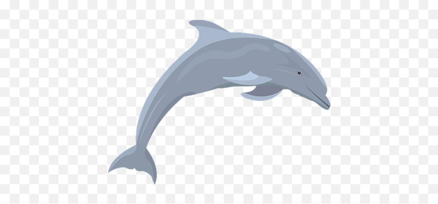 Free Dolphin Mammal Vectors - Dolpi Fish Emoji,Dolphin Emoji