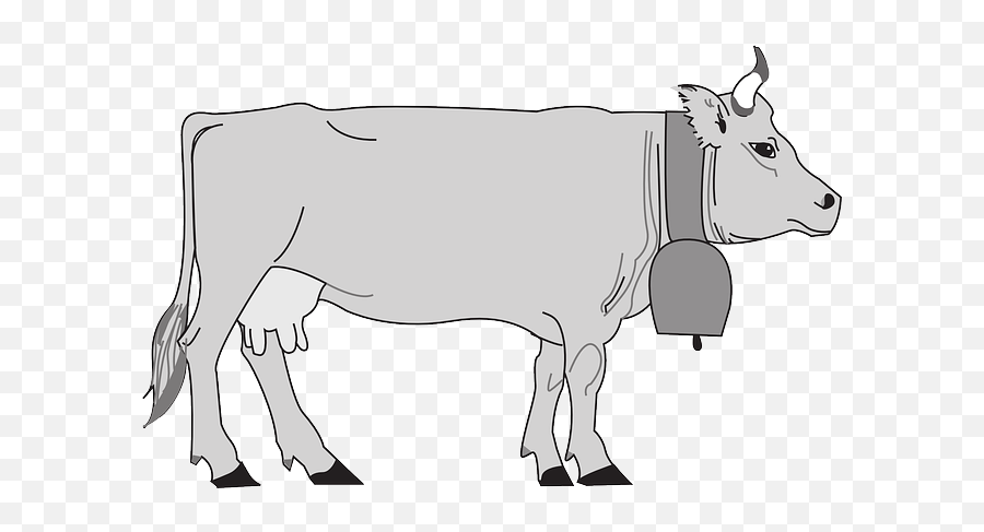 Free Pictures Animal - 9576 Images Found Murray Grey Cattle Drawing Emoji,Emoji Cow Bell