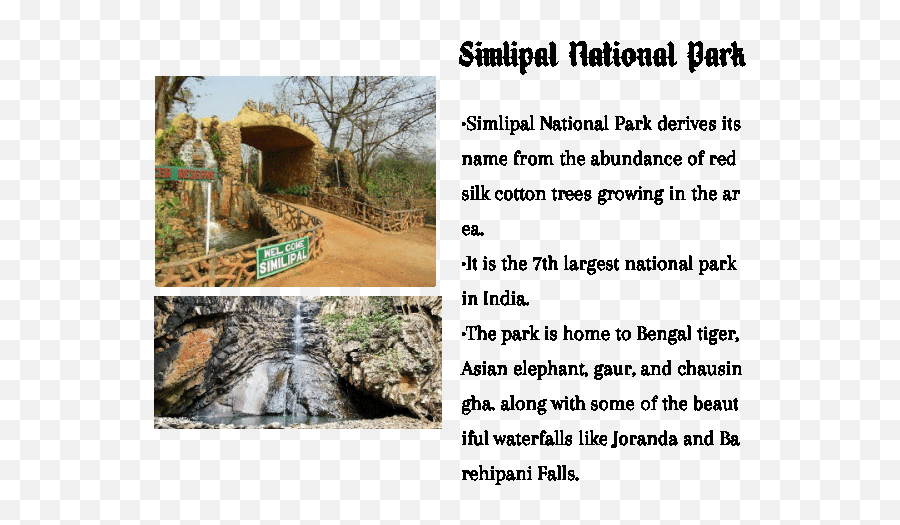 Blackpink Emoji Quiz Blink Amino - Similipal National Park,Tiger Shrimp Emoji Quiz