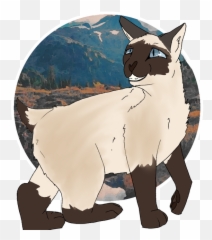 Public - Tonkinese Cat Emoji,Bitter Emotion Animal Pictures