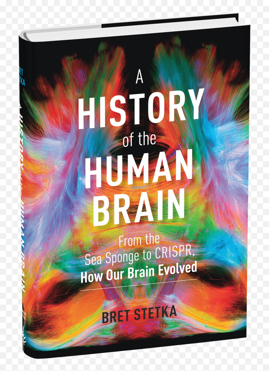 Evolution Public Radio Tulsa - History Of The Human Brain Emoji,Wall Street 1987 Emotions