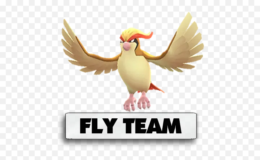 Pokémon Go Indaiatuba 20 Whatsapp Stickers - Stickers Cloud Pho 33 Emoji,Bird Pokemon Emoticon