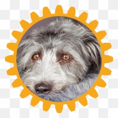 Virtual Dog Show Rotary Club - Airc Emoji,Bouncing Dog Emoticon