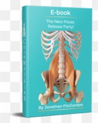 Psoas Release Party Corewalking Emoji,Anatomy Of Emotions Book