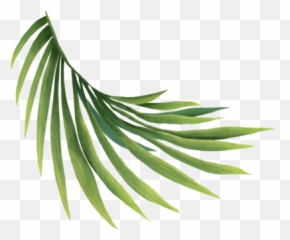 Coachella Png And Vectors For Free Download - Dlpngcom Emoji,Coachella Emojis Transparent