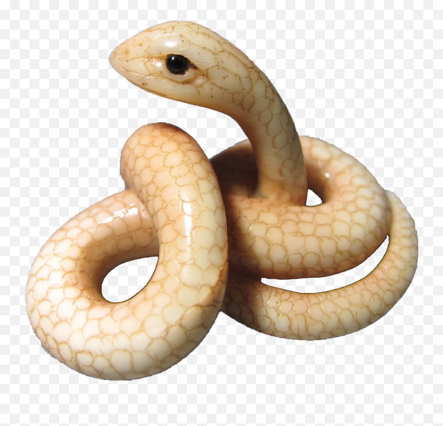 Poisonous Snake Png Transparent Image Png Mart Emoji,Snake Emoji