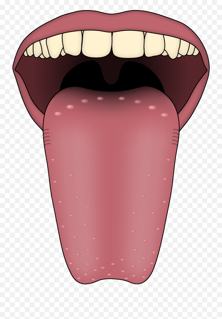 Taste Clipart Toung Taste Toung Transparent Free For - Sense Organ Tongue Clipart Emoji,Toung Out Emoji