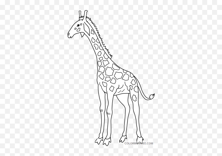 Black And White Giraffe Coloring Pages Giraffe 81 Png - Clip Art Of Giraffe Black And White Emoji,Giraffe Emoji