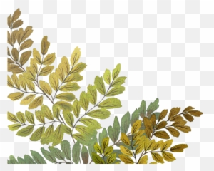 Episode 3 - Fern Emoji,Emotion Balls Drama