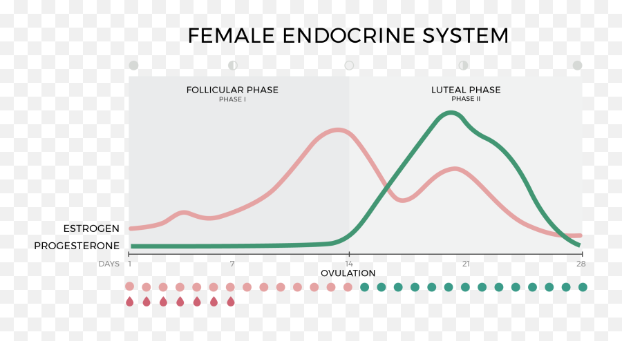 28 Day Menstrual Cycle Hormones - Plot Emoji,28 Day Cycle Emotion