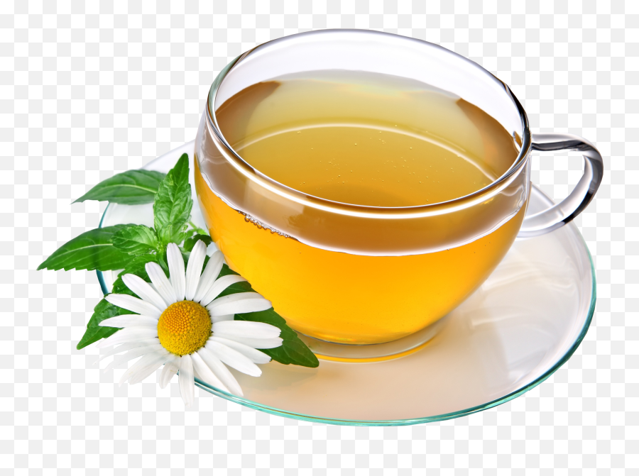 Green Tea Png Transparent Images - Chamomile Tea Png Clipart Tea Of Cup Png Emoji,Tea Sip Emoji Discord