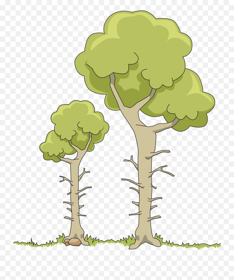 Httpswwwpicpngcomcartoon - Looklookingmagnifypng Two Trees Clipart Emoji,Palm Tree Drink Lightning Umbrella Emoji