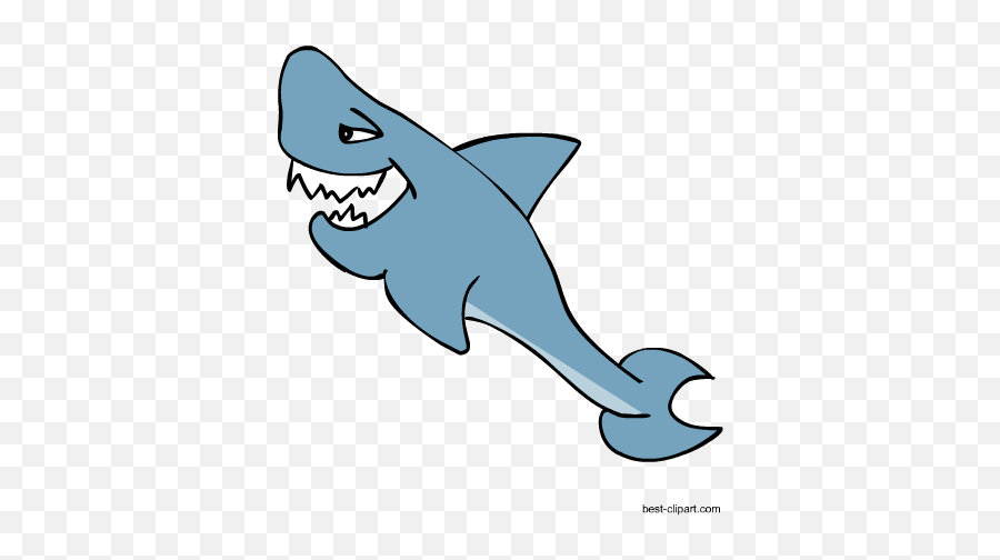 Free Marine Animals Ocean Animals Or Under Water Animals - Transparent Background Sea Animals Png Emoji,How To Make A Shark Emoji