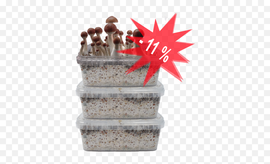 Psychedelic Mushrooms Grow Kits Canada - All Mushroom Info Food Storage Emoji,Shroom Emoticon