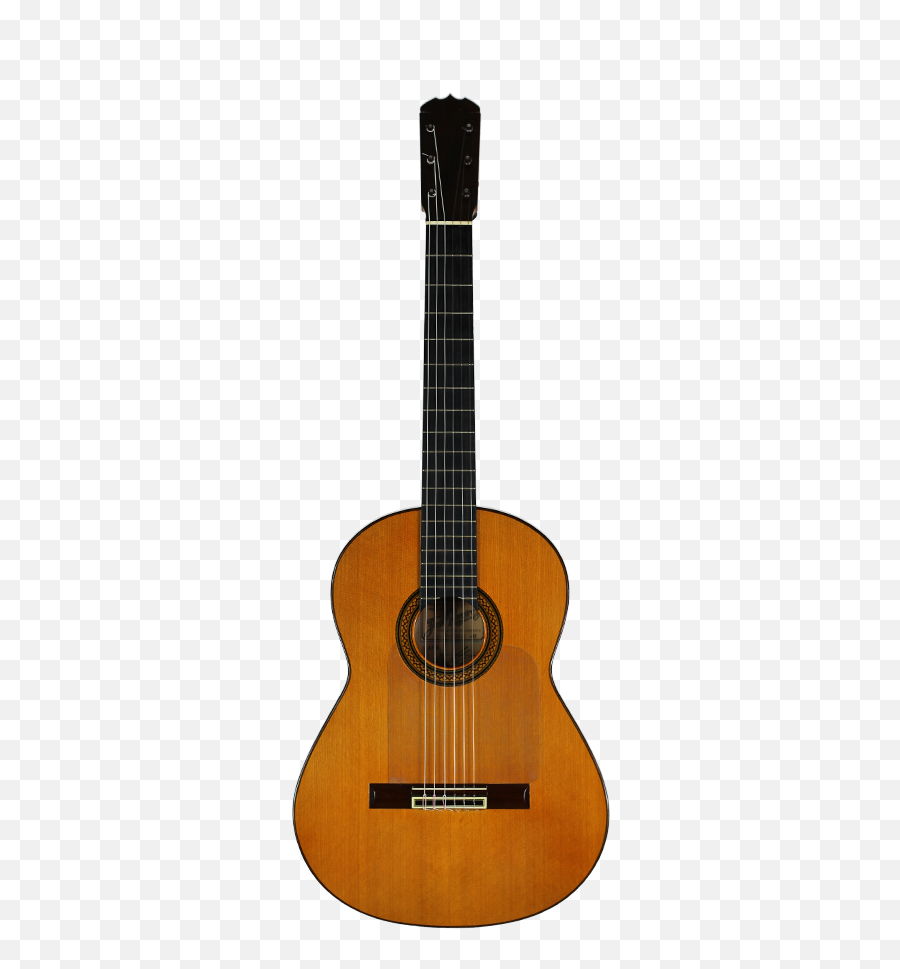 29 Classical Guitar Ideas Classical Guitar Guitar Classical - Solid Emoji,Flamenco Emotion