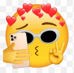 Emoji Itsbad Selfie Idc Sticker - Aesthetic Heart Crown,Selfie Emoji