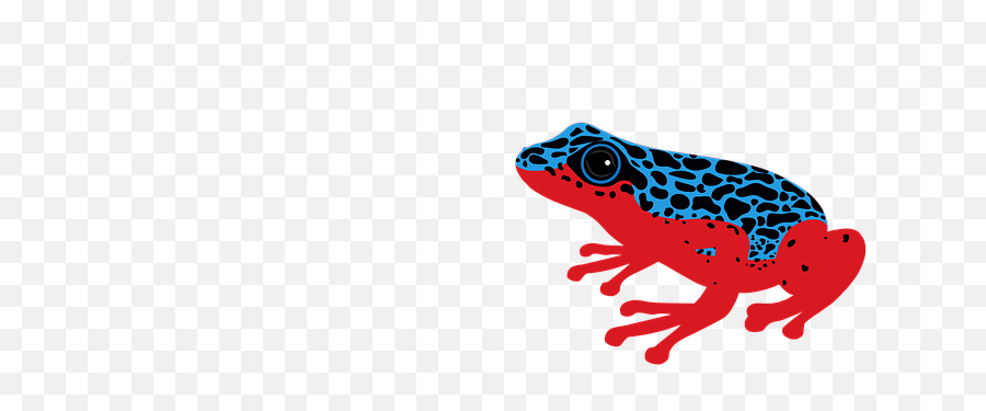 90 Free Toad U0026 Frog Illustrations - Pixabay Rana Dardo Venenosa Png Emoji,Frog Emoji