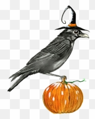 Watercolor Halloween Pumpkin Sticker By Stephanie - Gourd Emoji,Emoji Pumpkin Painting