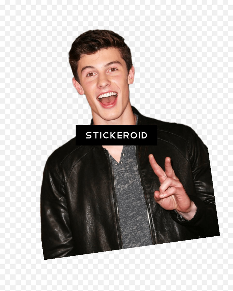 Download Allpng File Load Mend Png Shawn Mendes Peace Sign - Png Stickers De Shawn Mendes Whatsapp Emoji,Male Sign Emoji