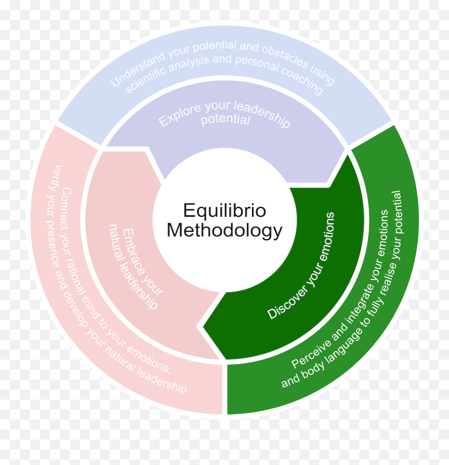 How We Work - Equilibrio Leaders Vertical Emoji,Emotion Vocabulary