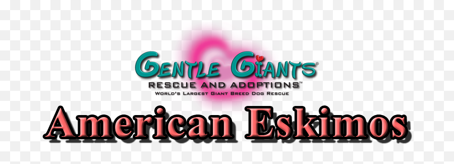 American Eskimos At Gentle Giants - Language Emoji,Whippets High On Emotion