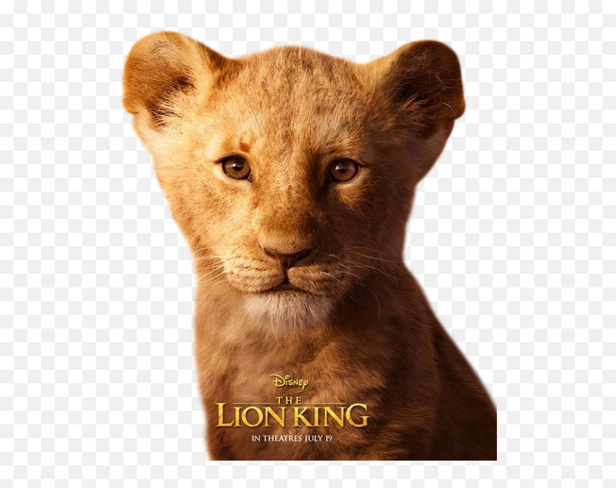 Simba Thelionking Lionking Disney - Lion King Close Up Shot Emoji,Lion King Emoji