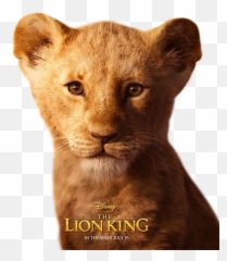 Simba Thelionking Lionking Disney - Lion King Close Up Shot Emoji,Lion King Emoji