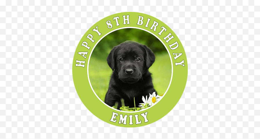 Personalised Acrylic Labrador Retriever - Black Lab Puppy Emoji,Happy Birthday Emoticons With Labrador Retriever