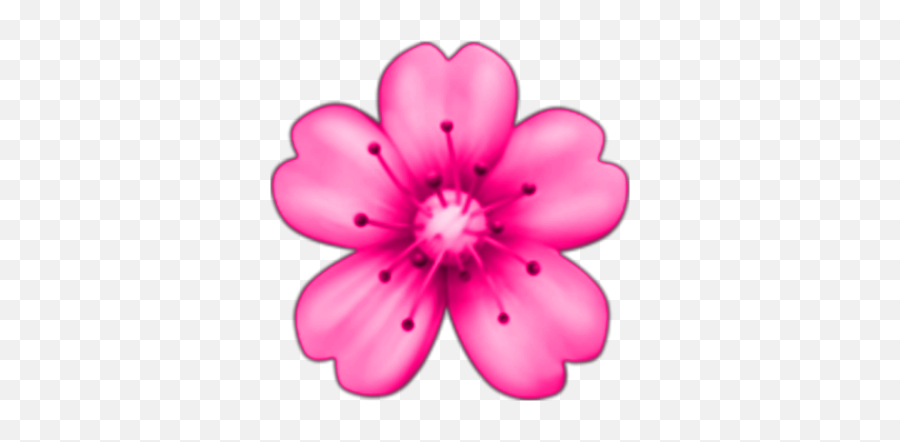 Flowers Floweremoji Pink Sticker By Erika Russell - Flower Emoji Transparent Background,Pink Flower Emoji