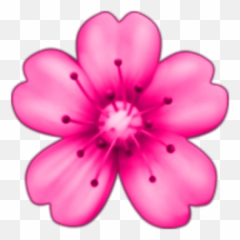 Flowers Floweremoji Pink Sticker By Erika Russell - Flower Emoji Transparent Background,Pink Flower Emoji