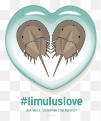 100 Ocean Quotes - Cute Horseshoe Crab Emoji,Swirling Ocean Waves Emotions Quotes