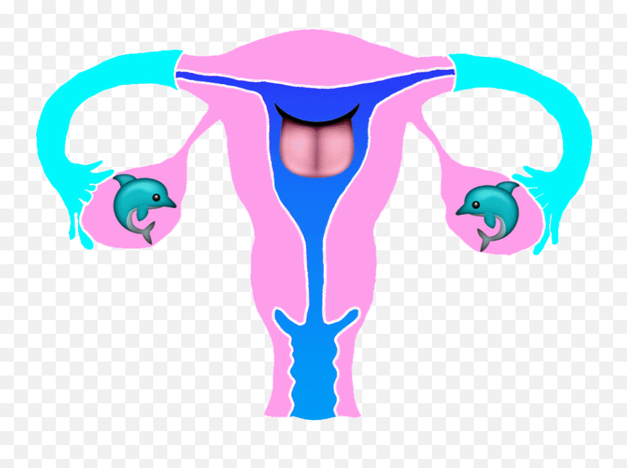 Top Enlarged Uterus Stickers For Android U0026 Ios Gfycat - He Touched The Butt Emoji,Uterus Emoji