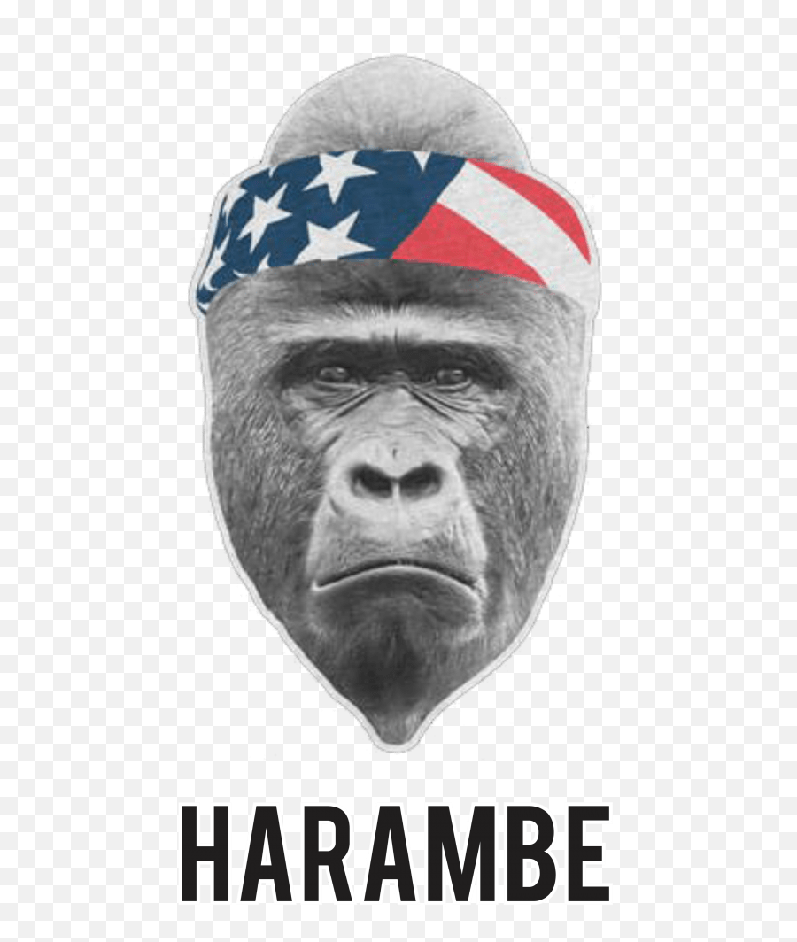 Harambe Face Png - Ugly Emoji,Harambe Emoji