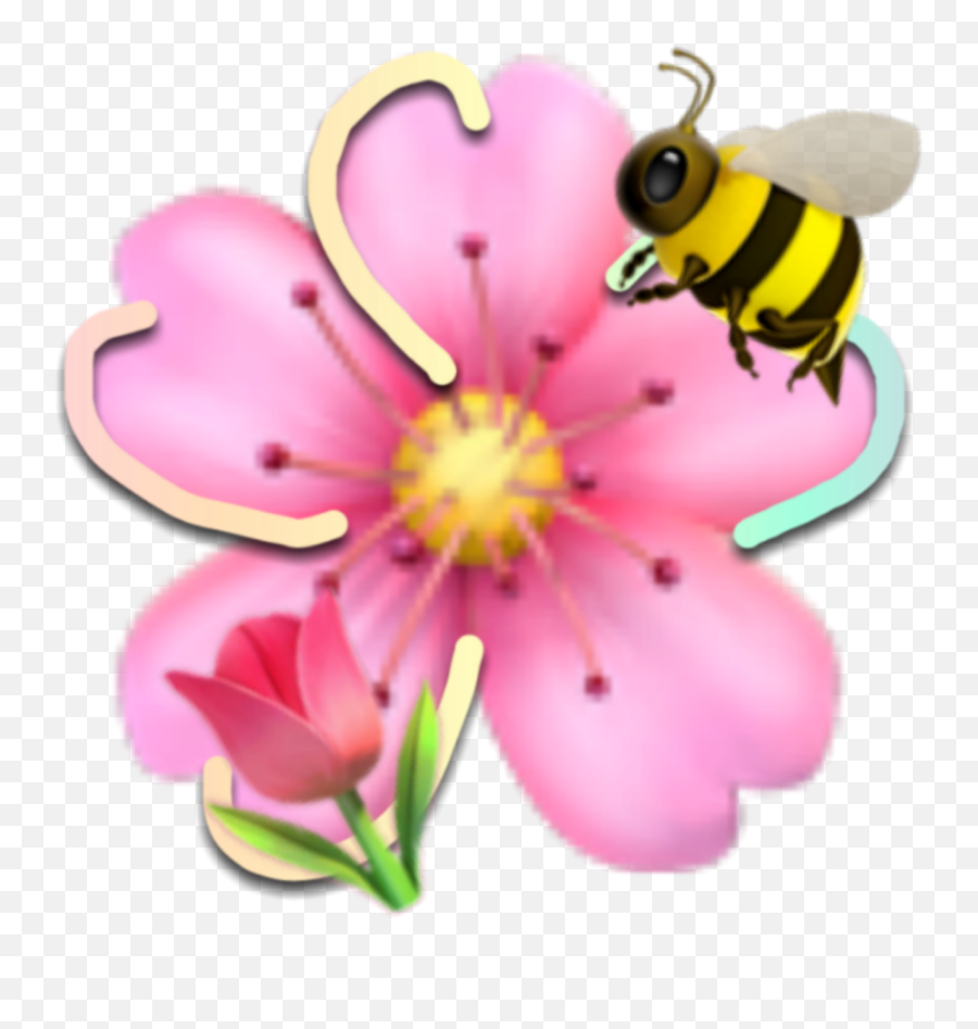 Png Cute Soft Rose Iphone Sticker By - Girly Emoji,Rose Emoji Iphone