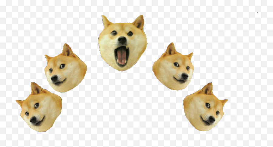 Crown Dogecrown Doge Meme Sticker - Hokkaido Dog Emoji,Doge Emoji
