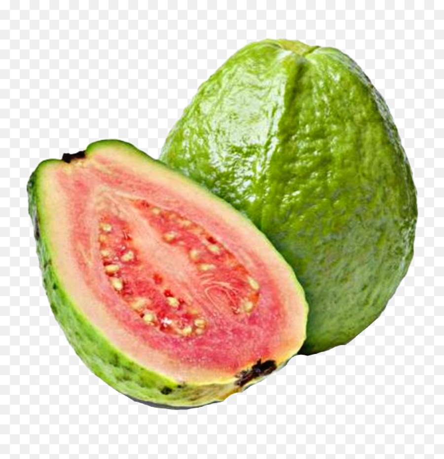 Discover Trending - Green Guava Emoji,Guava Emoji