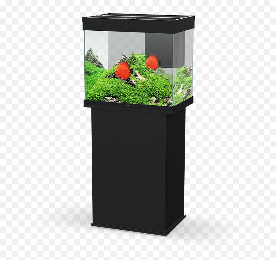 Emotions Pro 60 Noir - L612 X L402 X H56 Cm Aquarium 50 Litres Avec Meuble Emoji,2 Emotions