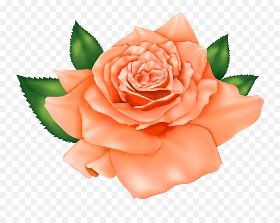 Rose Clipart Emoji Rose Emoji - Orange Rose Flower Clipart,Beautiful Emoji