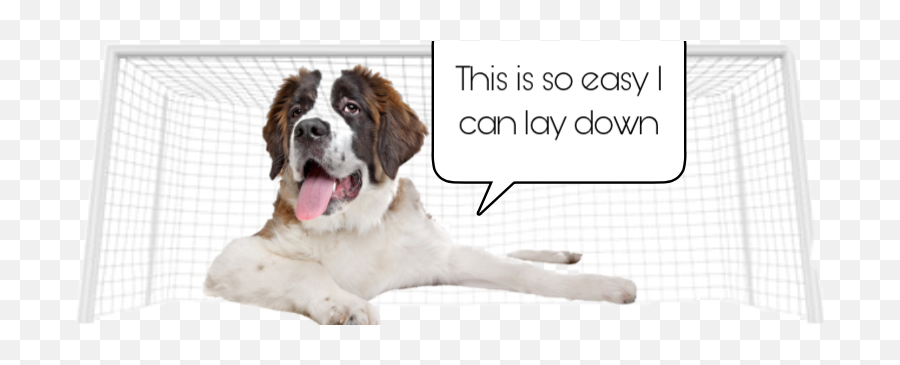 St Bernard Sticker By Beasmode06 - Photo Caption Emoji,Lay Down Emoji