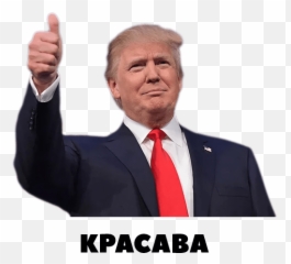 Transparent Donald Trump Png Download - Donald Trump Png Emoji,Donald Trump Tumblr Emojis