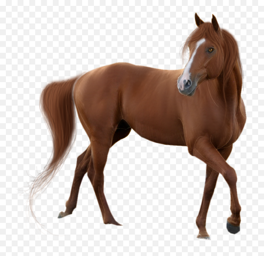 Horse Pixel - Horse Images Hd Png Emoji,Horse Emoticons