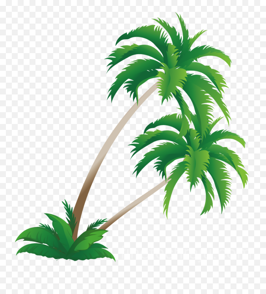 Natural Track Coconut Png Image And Transparent - Mangroves And Storm Surges Emoji,What Do Three Palm Tree Emojis